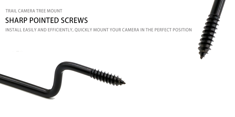 ntse taw tes screws