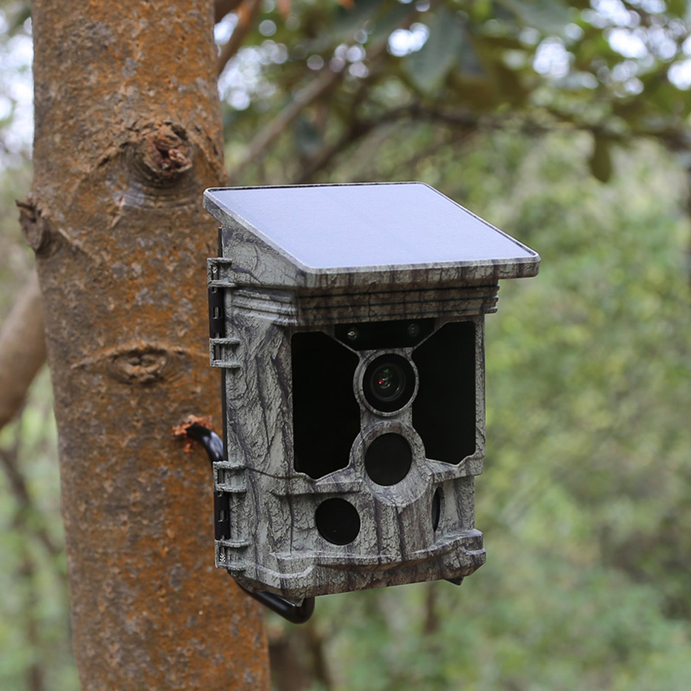 BK-71W SOLAR HUNTING CAMERA