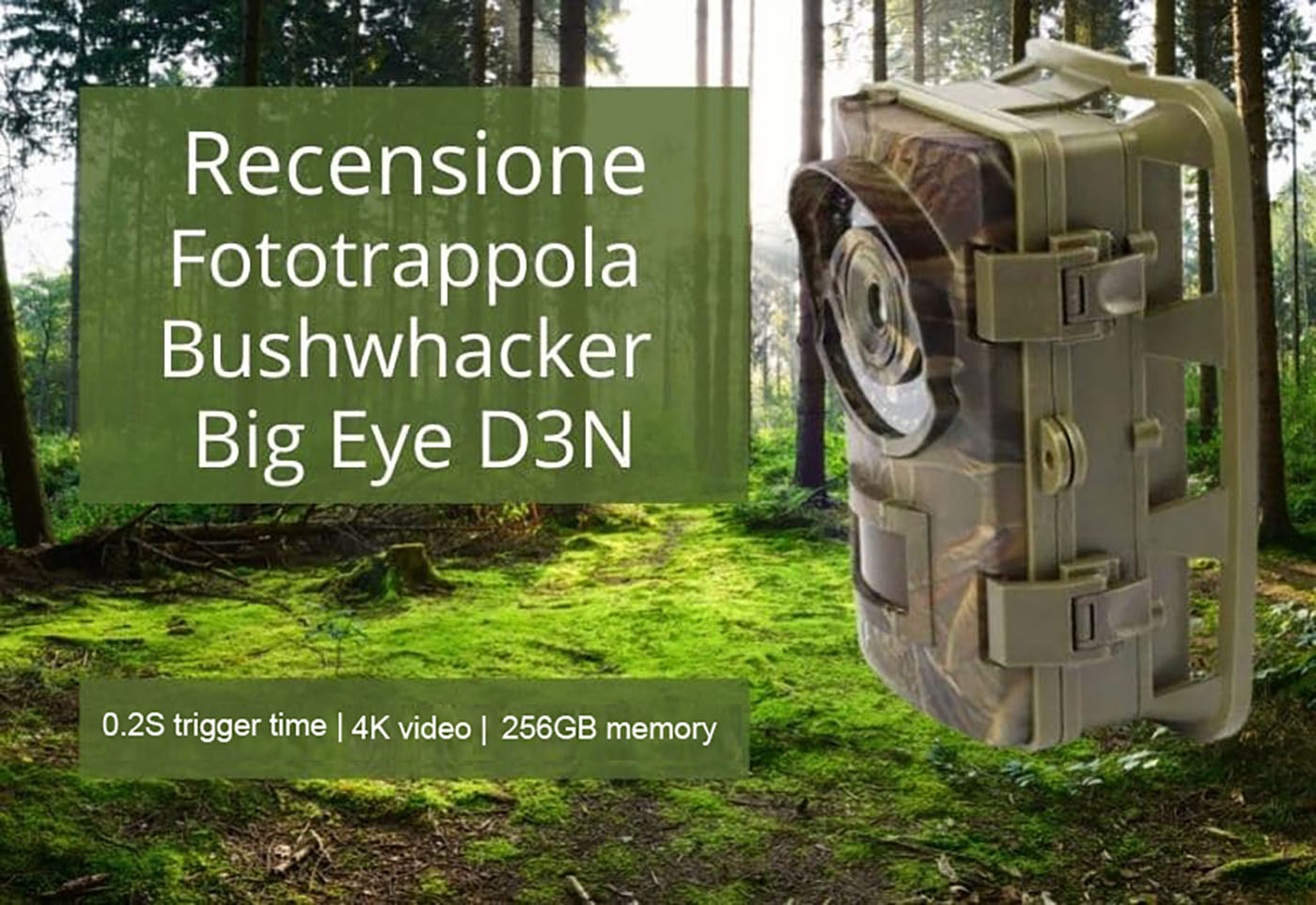 Recensione fototrappola Bushwhacker Big Eye D3N
