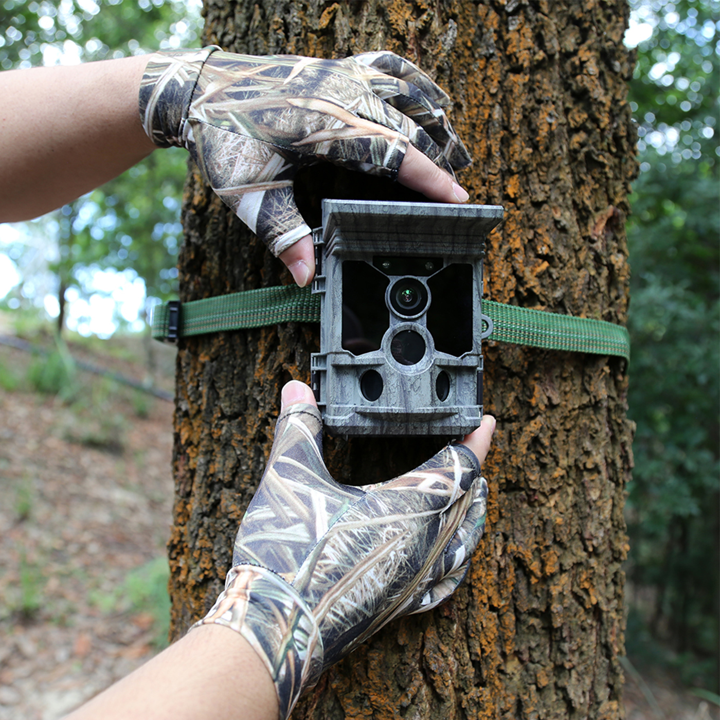 solar trail camera