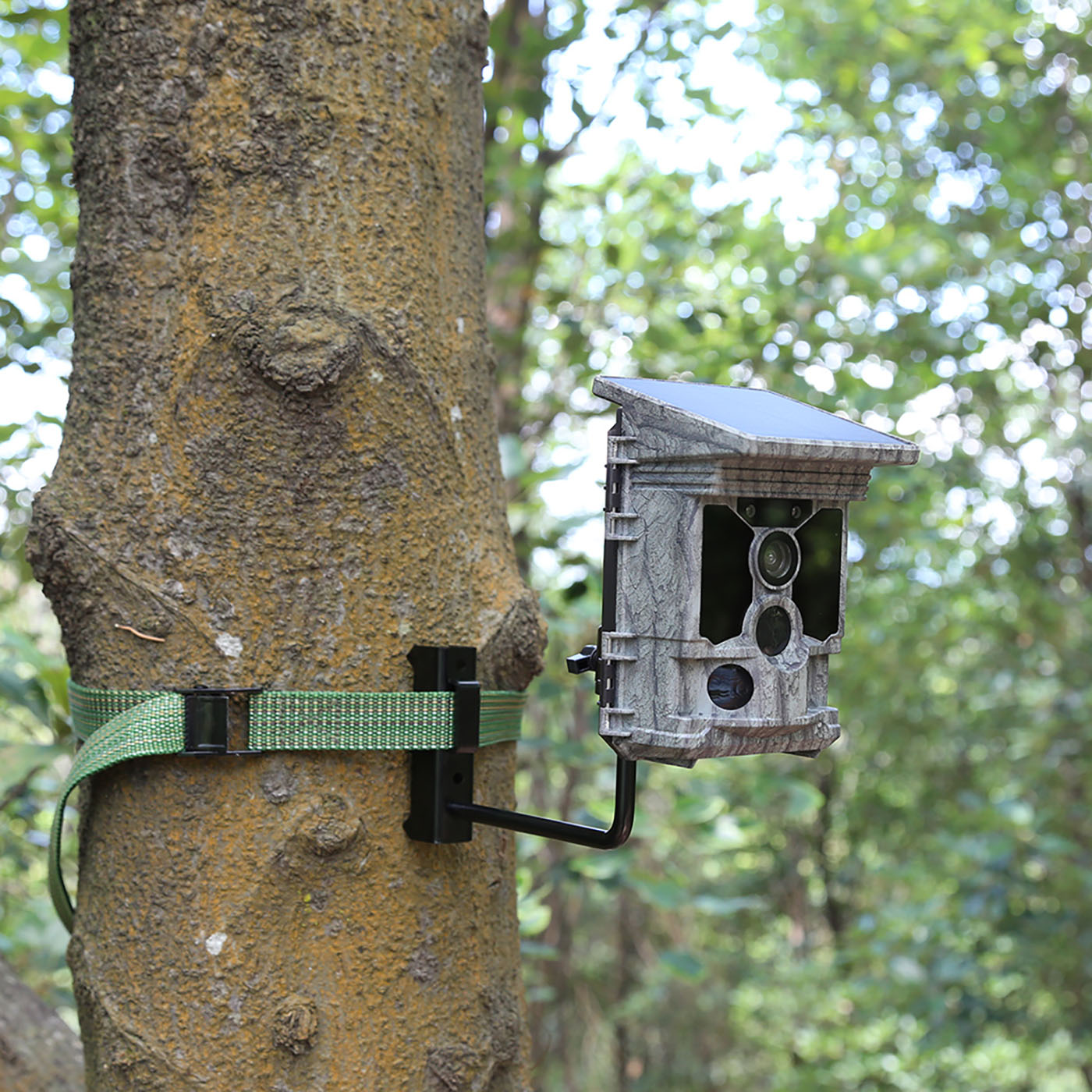 trail camera holder